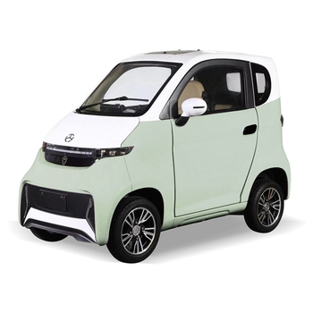 micro voiture pmr parging gratuit 