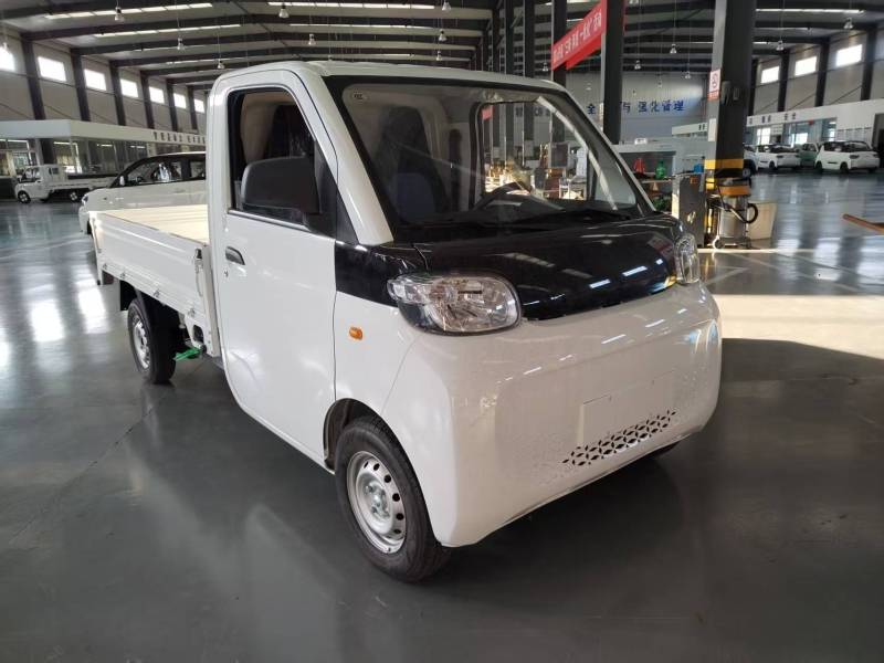 CITY TRUCK Polyvalent – Plateau Fixe et Benne pour Services Locaux Toulouse 31