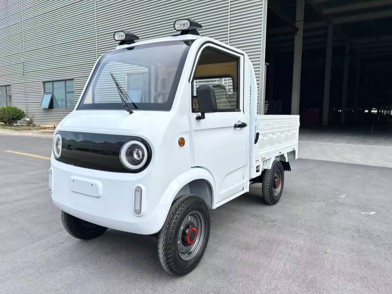 CAMION SANS PERMIS 