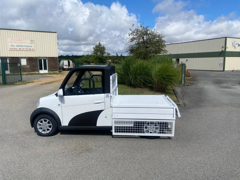 camion sans permis électrique 