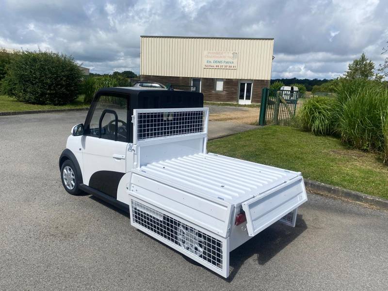 La meilleure voiture utilitaire électrique en stock disponible immédiatement  partout en France