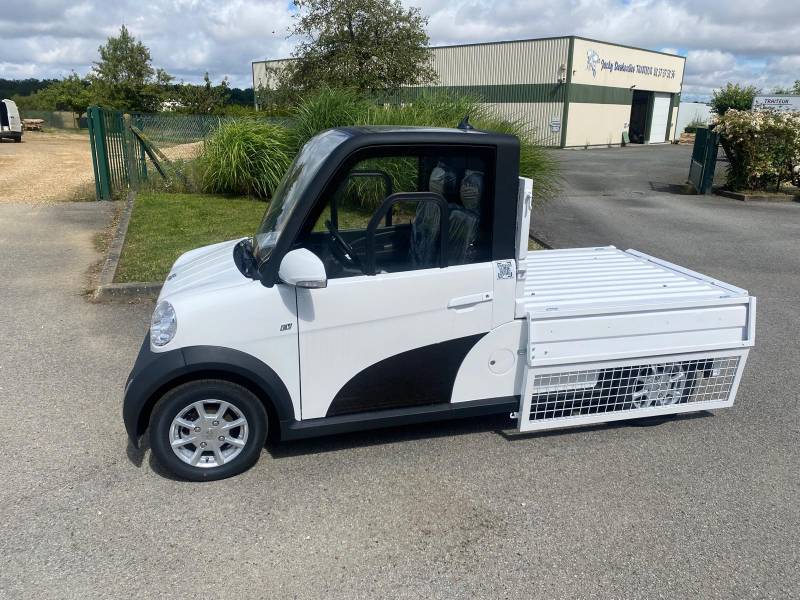 petit camion électrique 