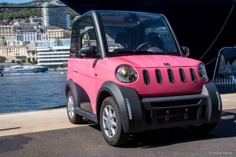 petite voiture électrique grande autonomie confortable 