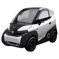 VOITURE ELECTRIQUE SANS PERMIS FRANCE SILENCE